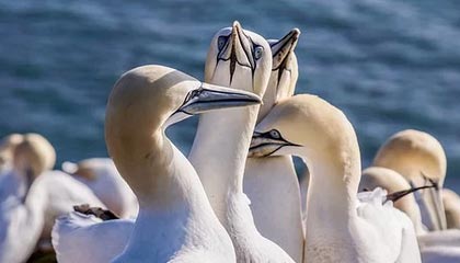 拉萨2026年最新北京商务伴游经纪招聘渠道分享(最方便真实的拉萨北京爱特博旅运服务有限责任公司招聘方法)