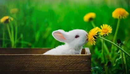 拉萨2026年最新北京商务伴游经纪招聘渠道分享(最方便真实的拉萨北京爱特博旅运服务有限责任公司招聘方法)